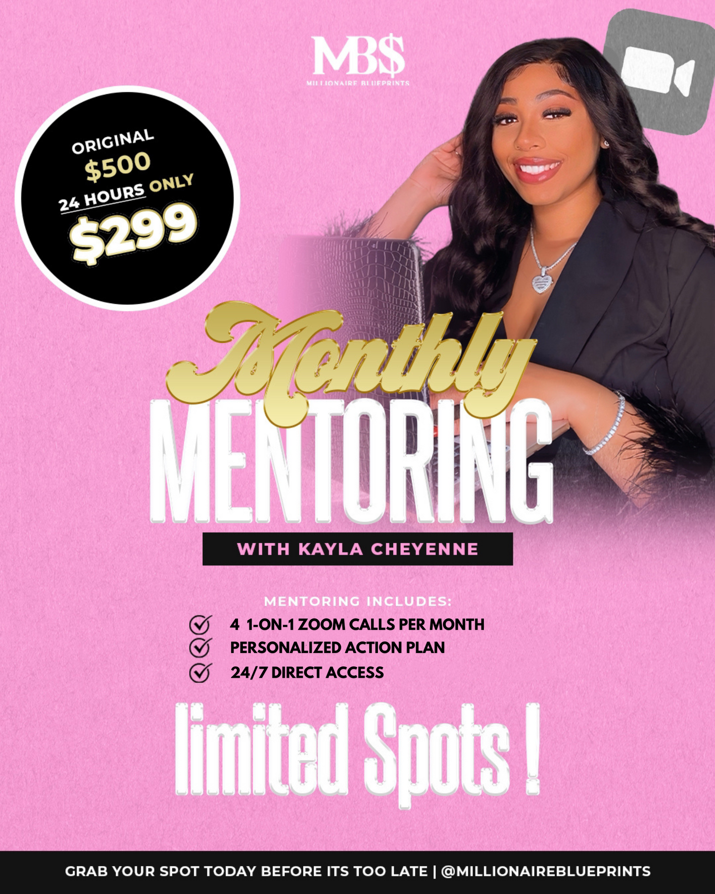 The Millionaire Mentorship